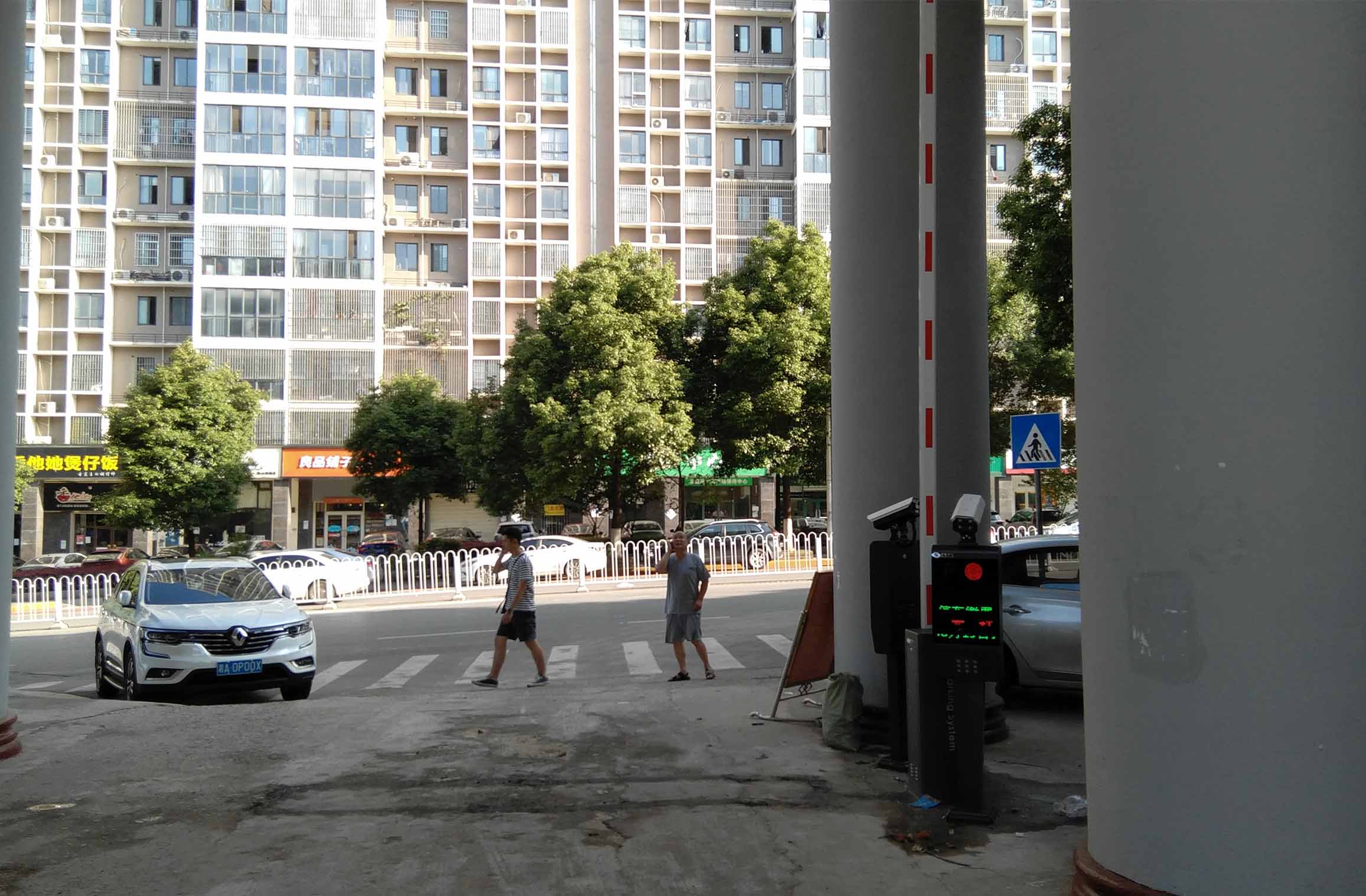 省種苗中心 省種苗中心